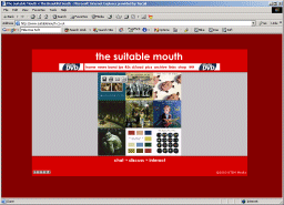 The Beautiful South Fan's Website